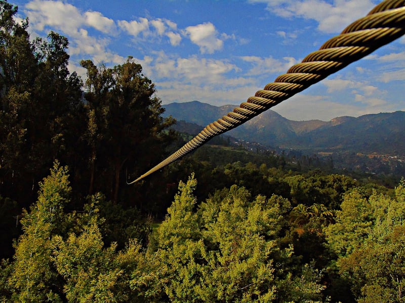 Canopy Zip-lining