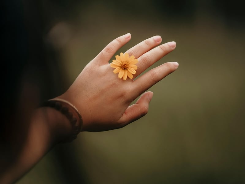 Natural Accessories