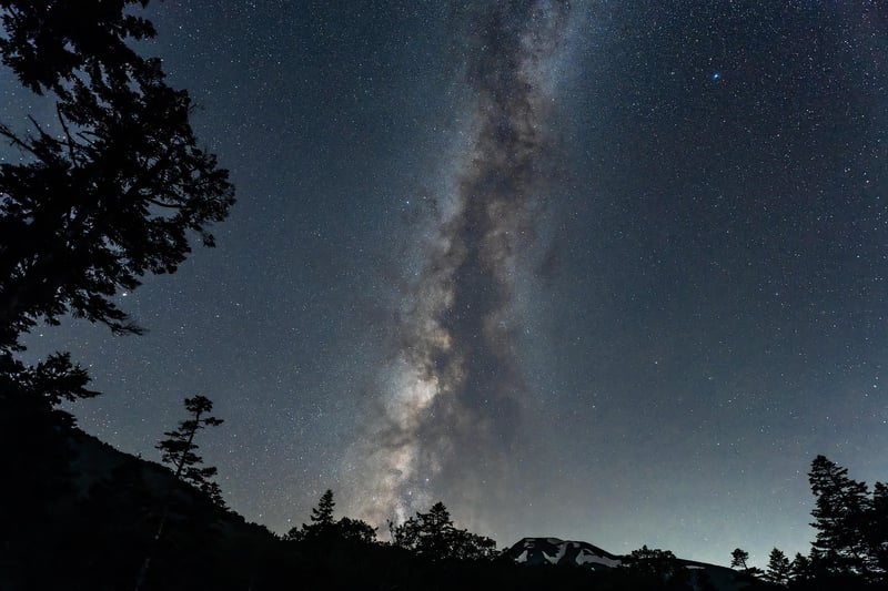 Starry Sky in Mystical Woodland
